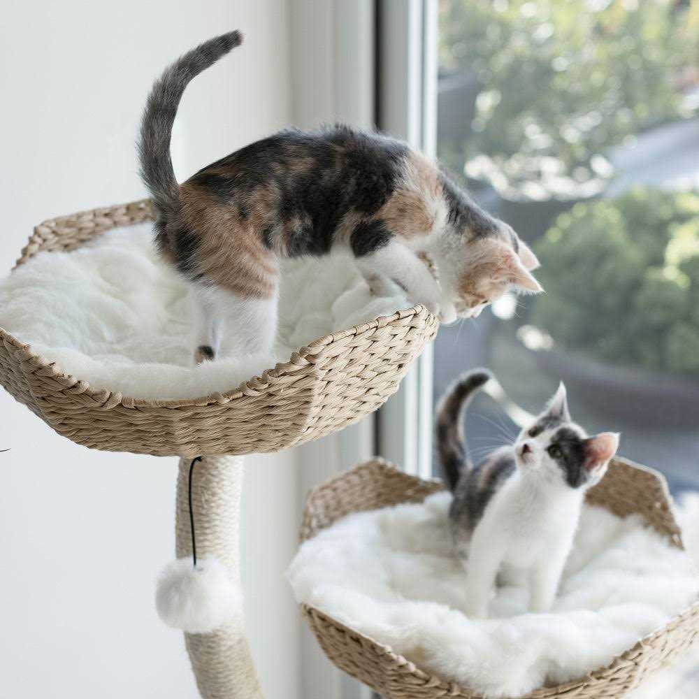 3 Modern Cat Tree O865599