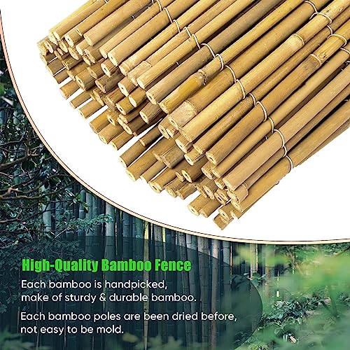 6ft x 8ft x 0.4" Natural Bamboo Fence Rolled Bamboo Fencing S211