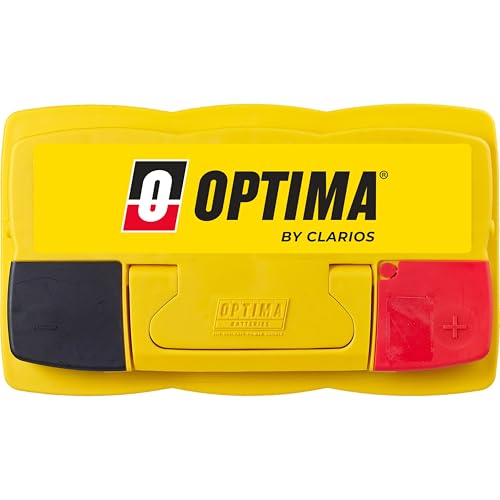 High Performance Sealed AGM Car Battery, 880 CCA, BCI Group Size 94R P6951
