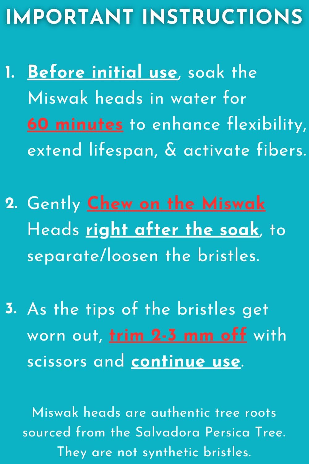5 Disposable Sewak Tips Toothbrush F3753