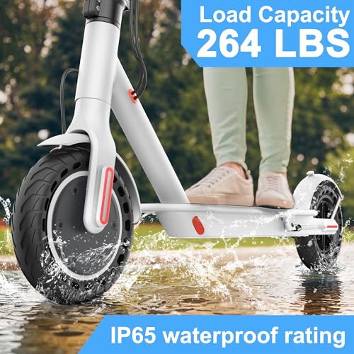 Foldable Motorized Scooter with 350/500W Motor and 8.5"/10" Tires Y337888
