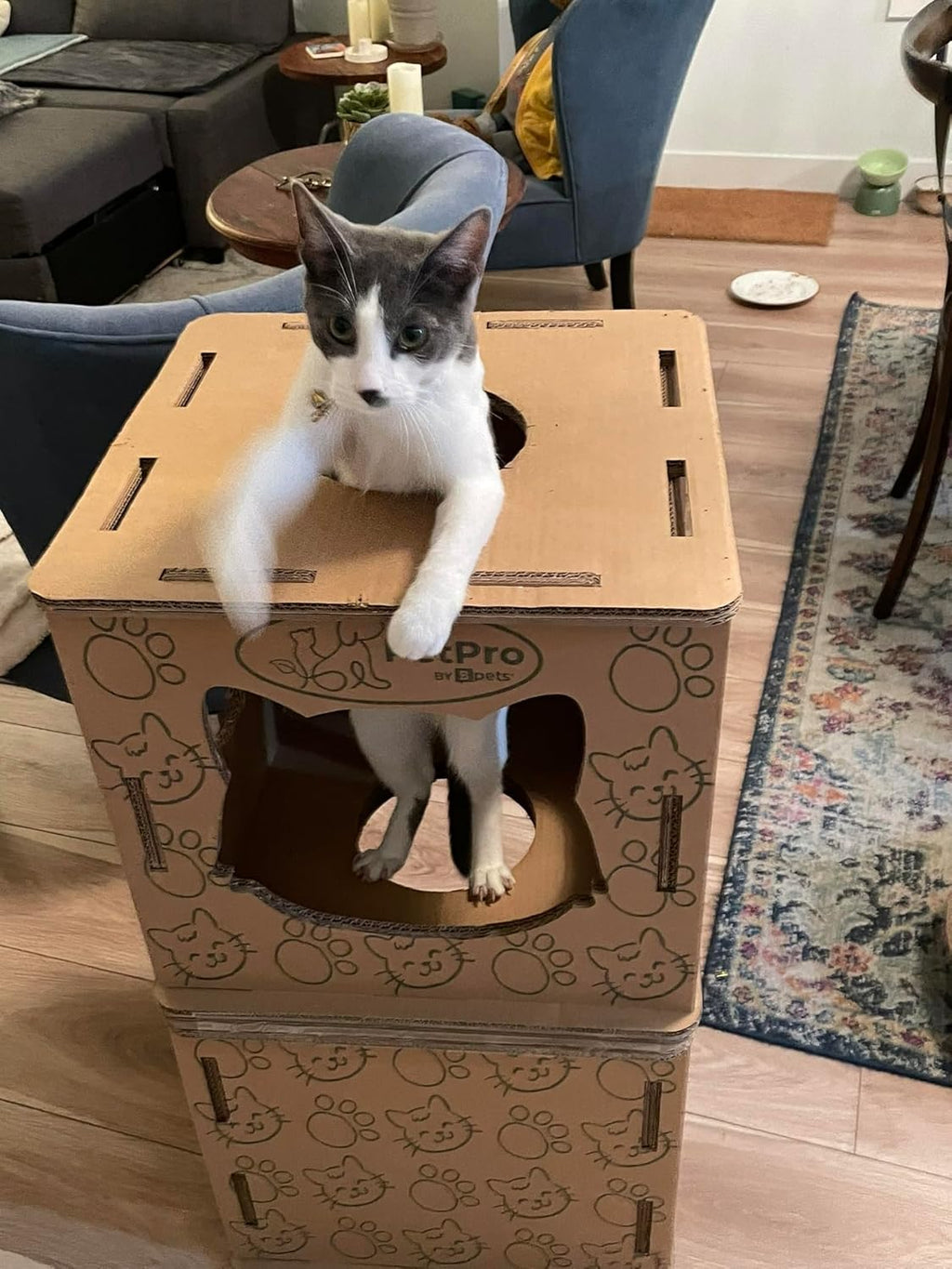 Corrugated Cardboard Cat Scratcher House Y31830