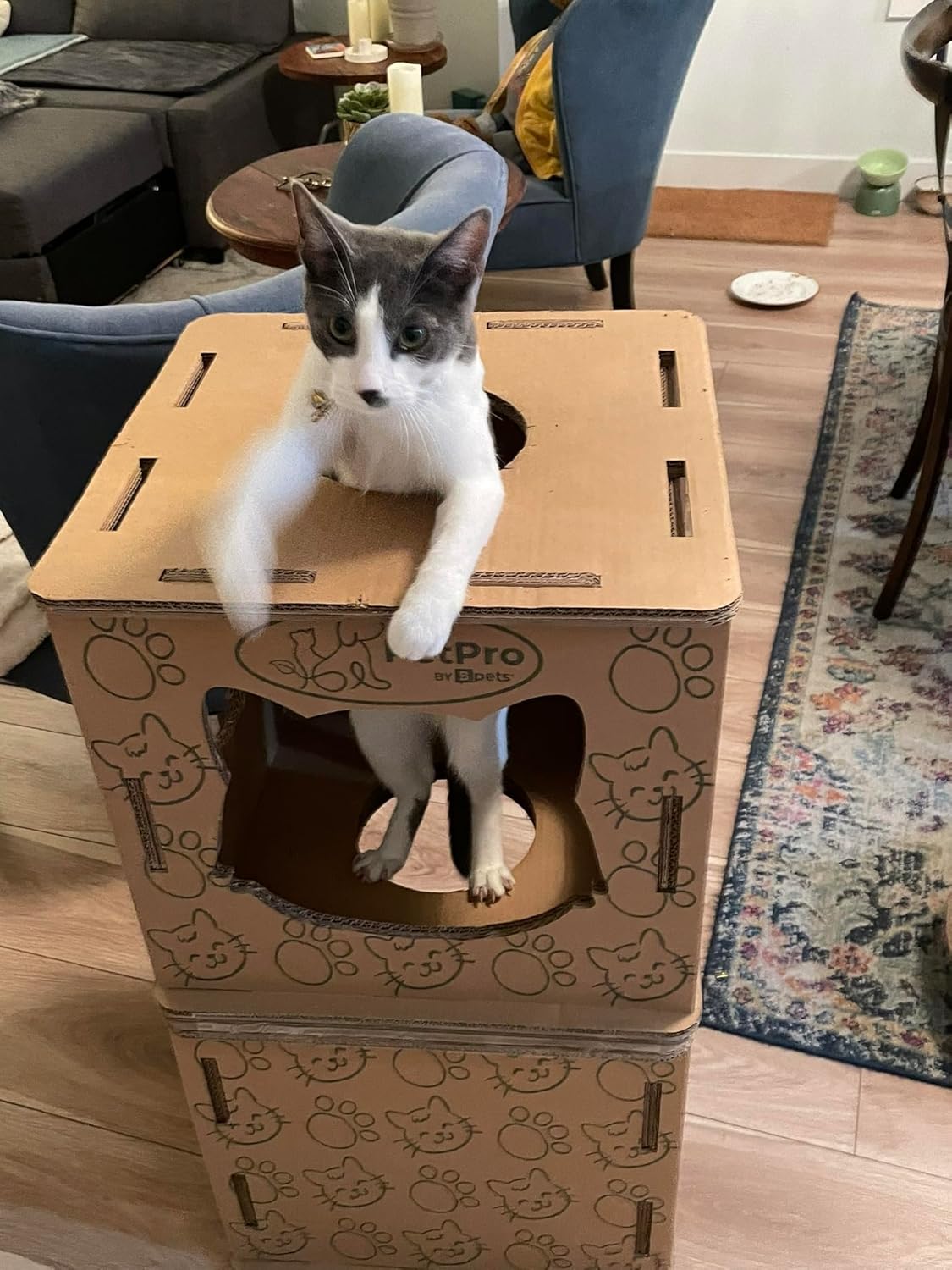 Corrugated Cardboard Cat Scratcher House Y31830