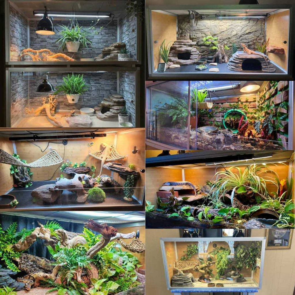 4'x2'x2' PVC Reptile Enclosure Y244