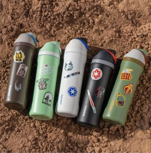 24 oz Insulated Stainless Steel Water Bottle with Straw D730