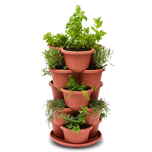 5 Tier Stackable Planter with Starter Pots Q65995
