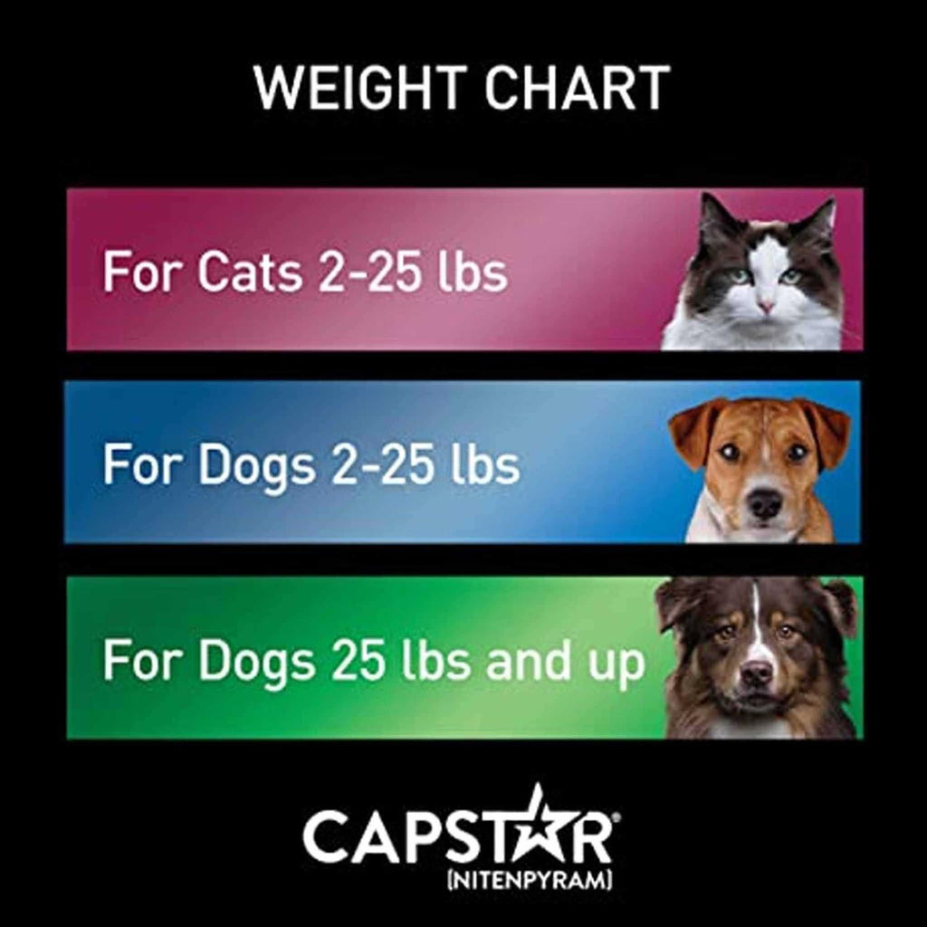Capstar for Cats I56022