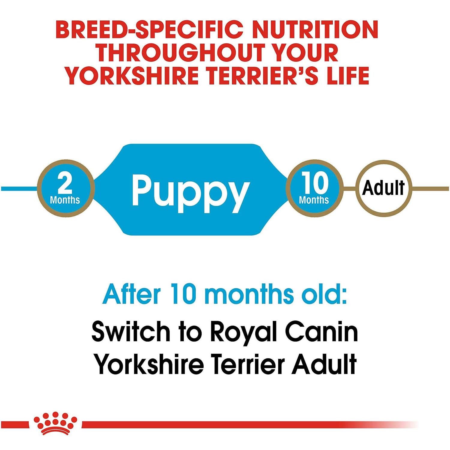 Yorkshire Terrier Puppy Dry Dog Food H1570