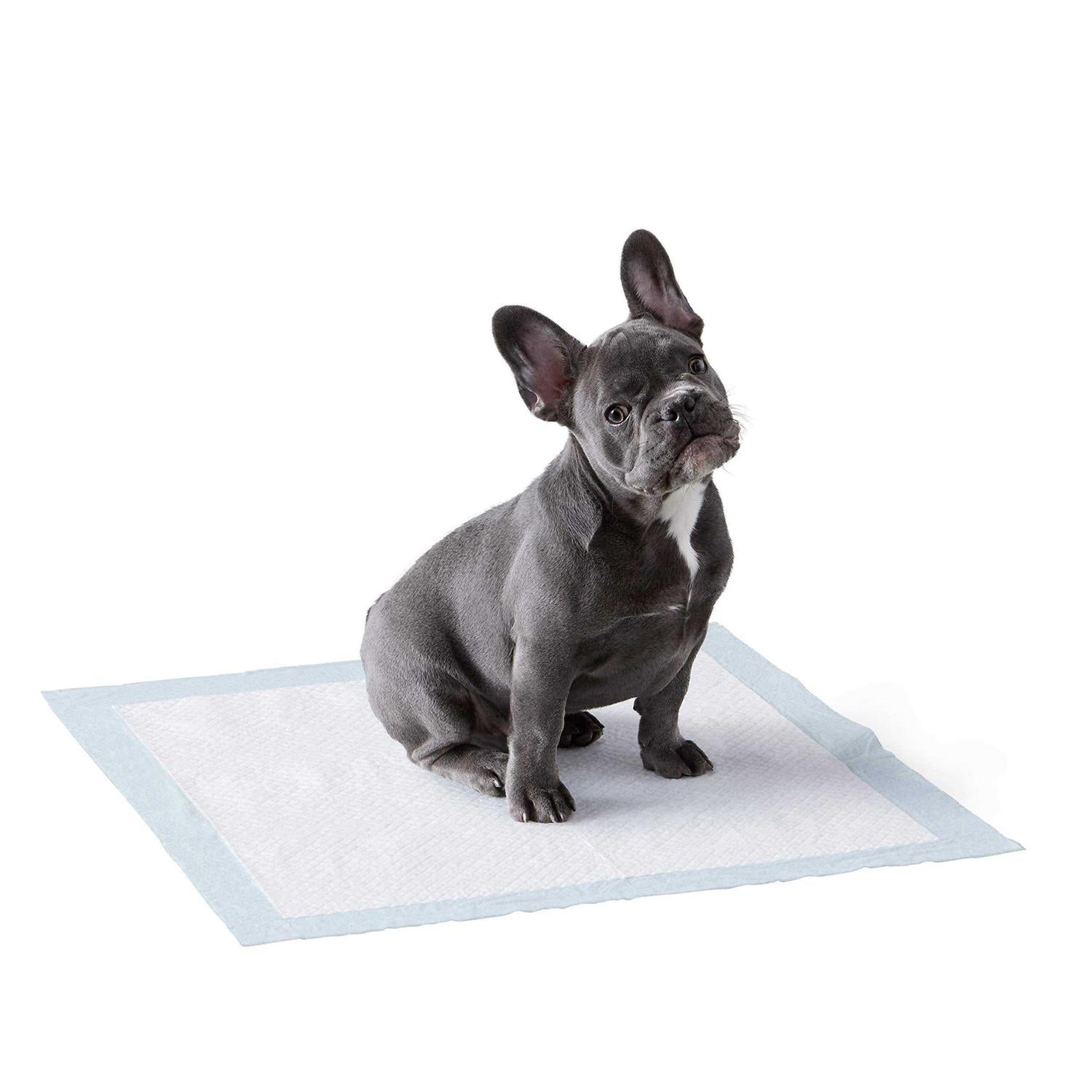 Dog and Puppy Pee Pads with 5-layer Leak-proof Design and Quick-dry Surface F430167