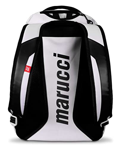 Dynamo Bat Pack D185648