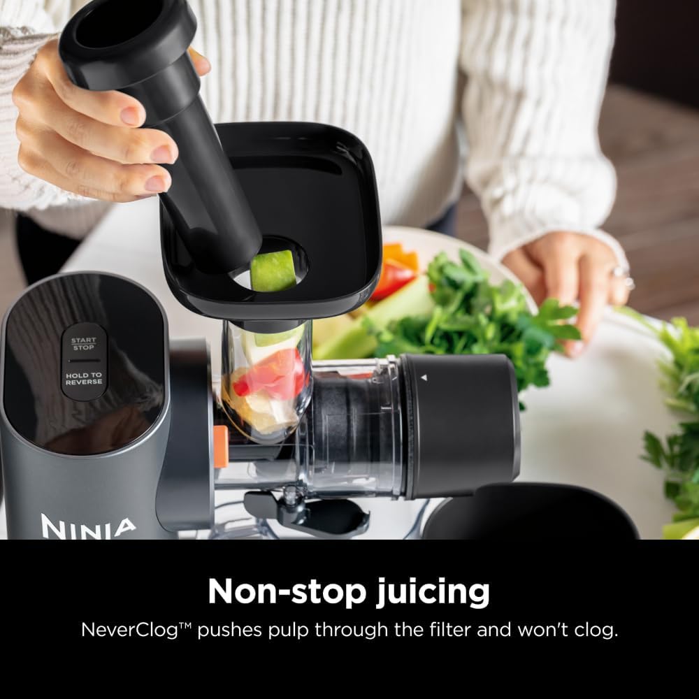 Charcoal Cold Press Juicer I541