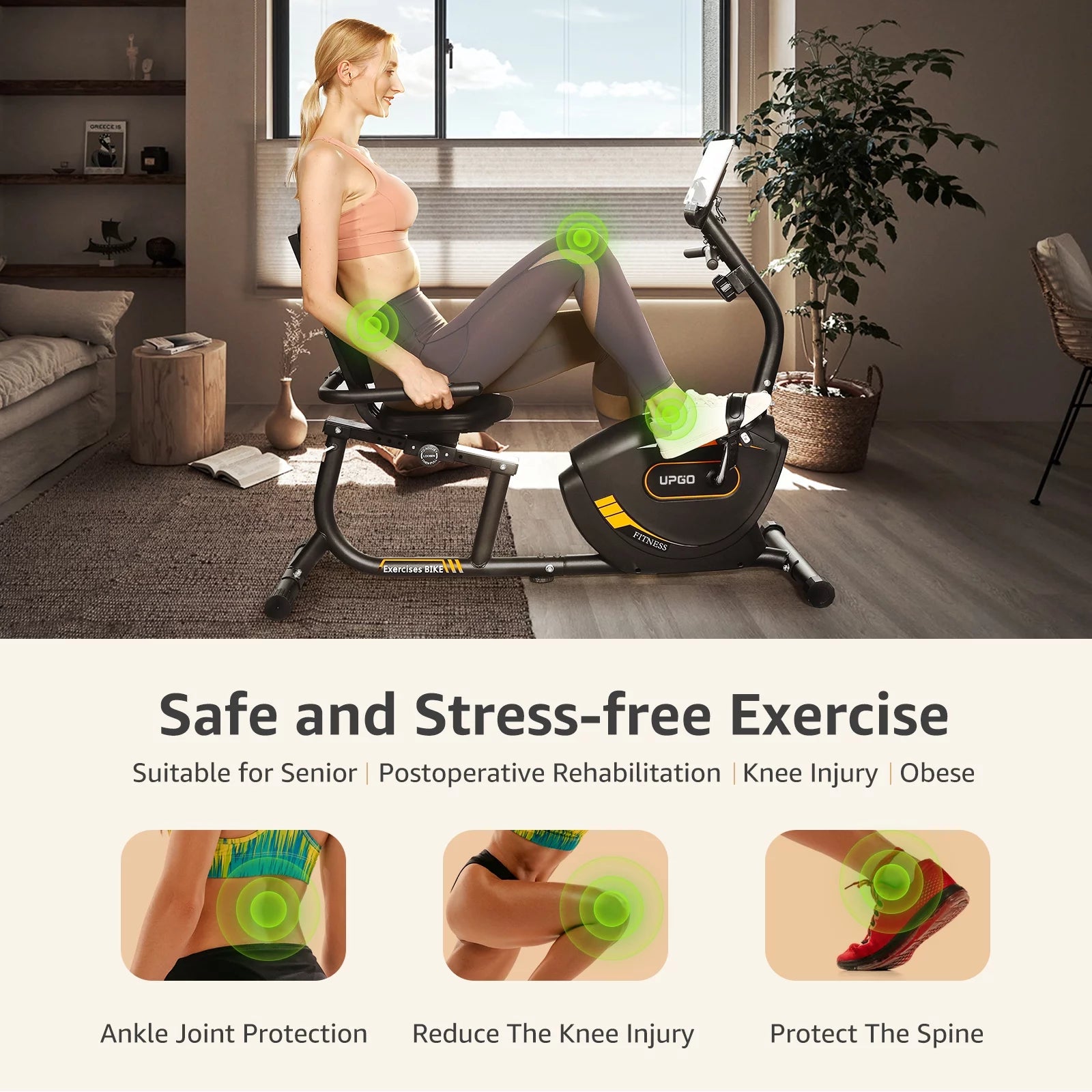 Recumbent Exercise Bike K223002