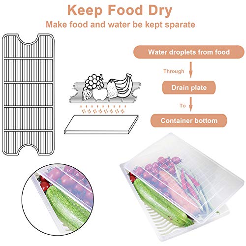 Plastic Food Storage Containers with Removable Drain Plate and Lid, Stackable (4, Large) Q22483