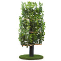 Cat Tree with Leaves Cat House Cat Activity Tree T736378