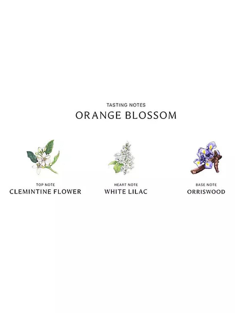 Orange Blossom Diffuser 5.6 oz L4181