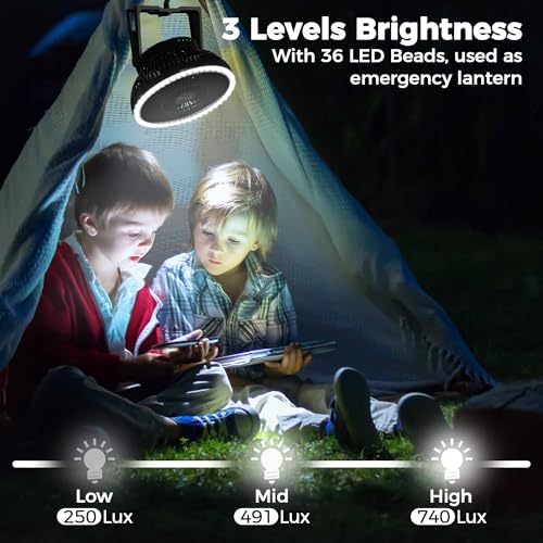 8-Inch Portable Camping Fan with LED Lantern, 10000mAh Rechargeable Battery Operated Tent Fan Q184745