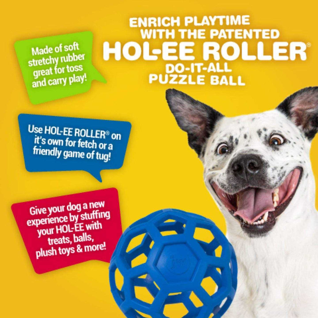 Hol-ee Roller Dog Toy Puzzle Ball Q48430