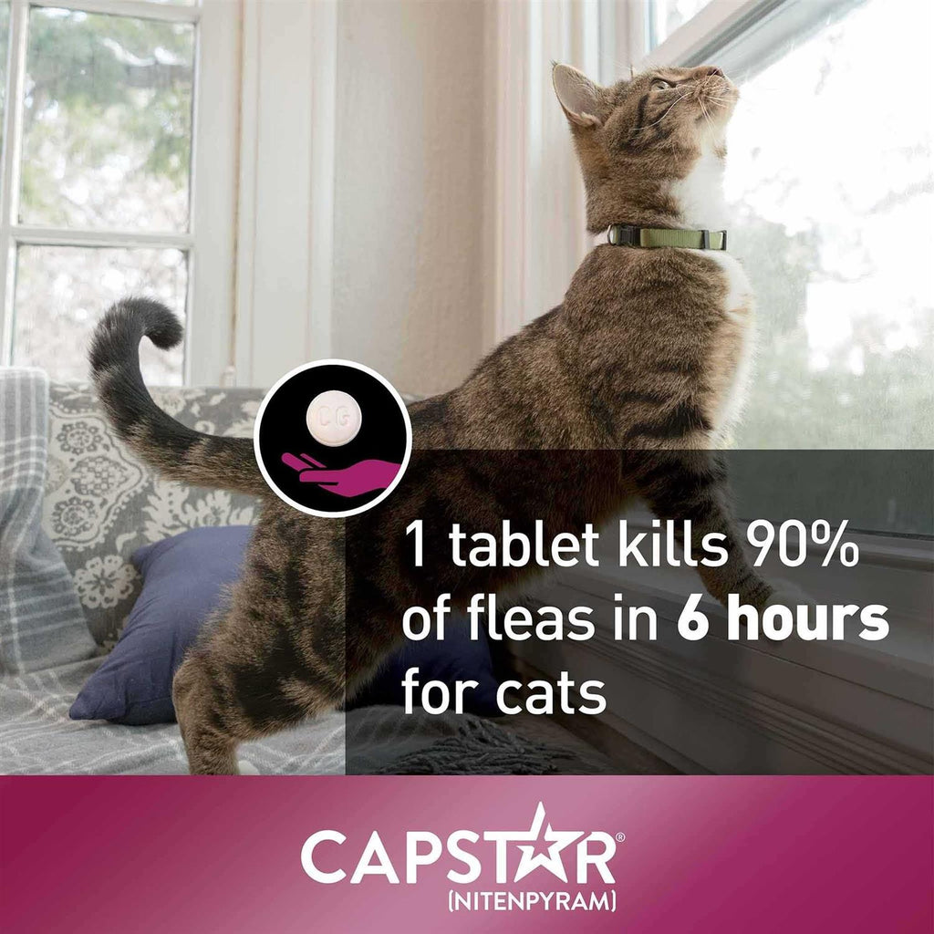 Capstar for Cats I56022