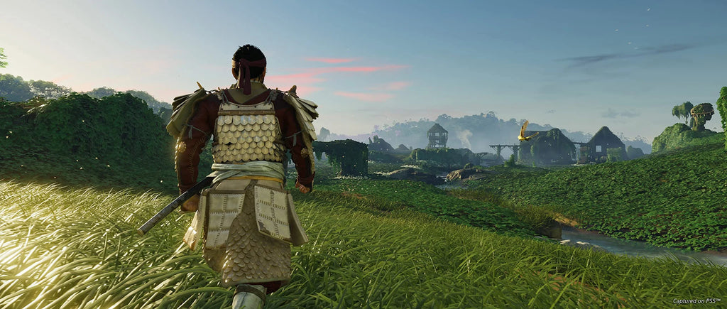 PlayStation 4 Director's Cut O635