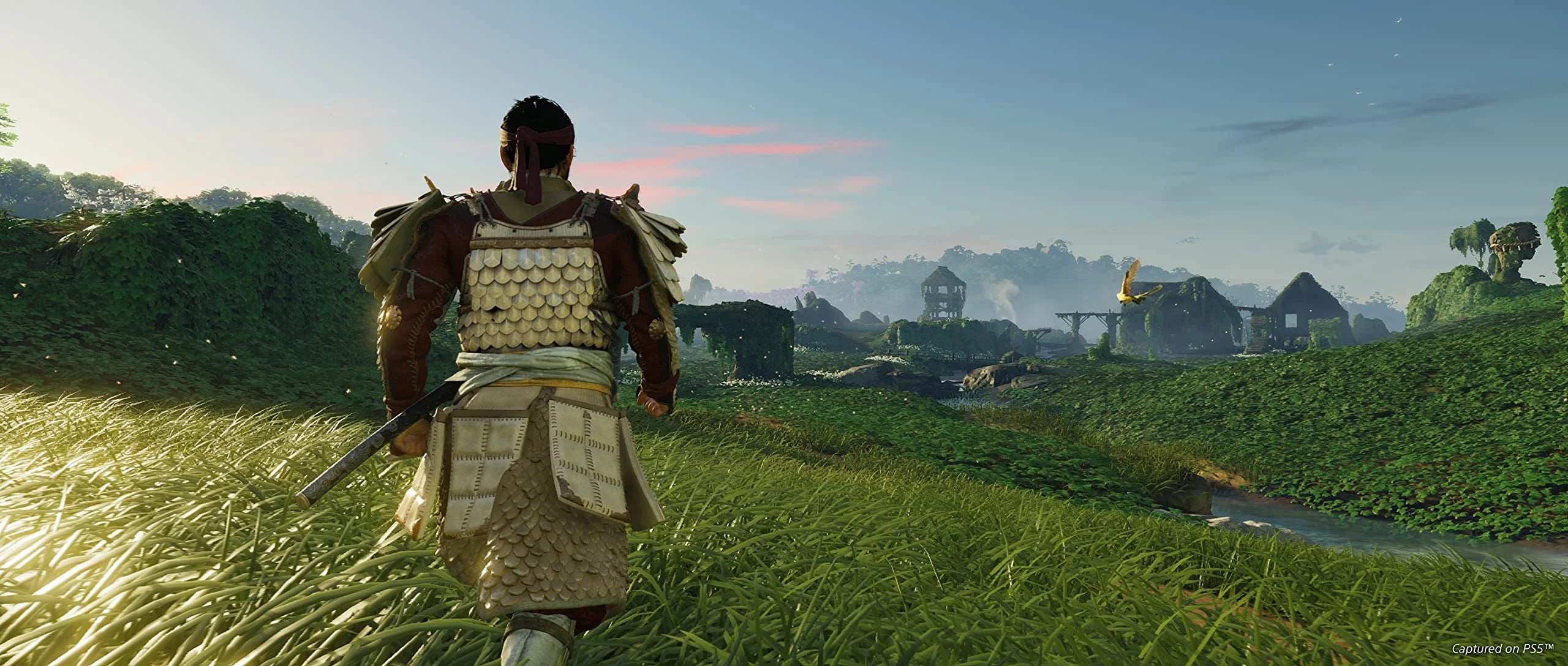 PlayStation 4 Director's Cut O635