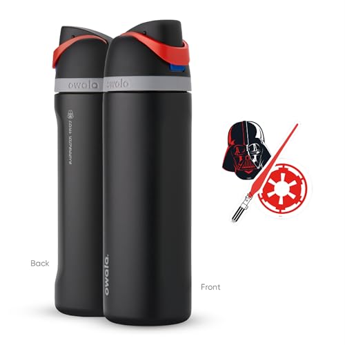 24 oz Insulated Stainless Steel Water Bottle with Straw D730