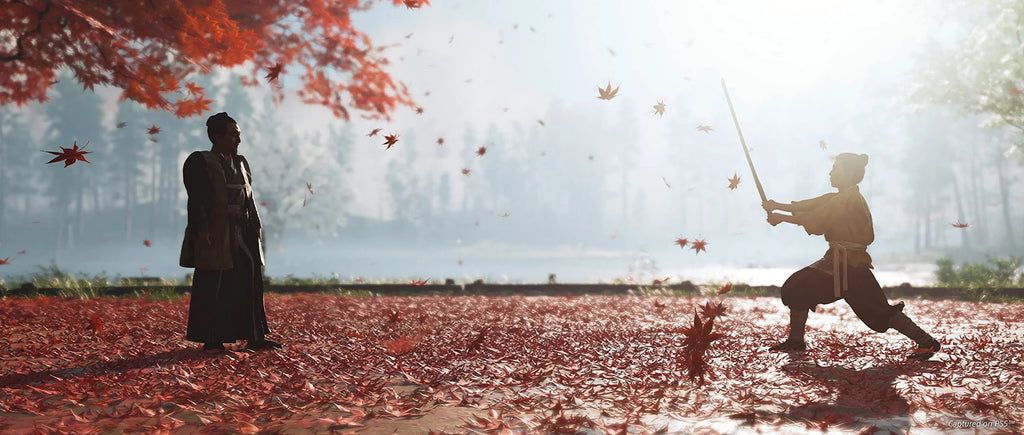 PlayStation 4 Director's Cut O635