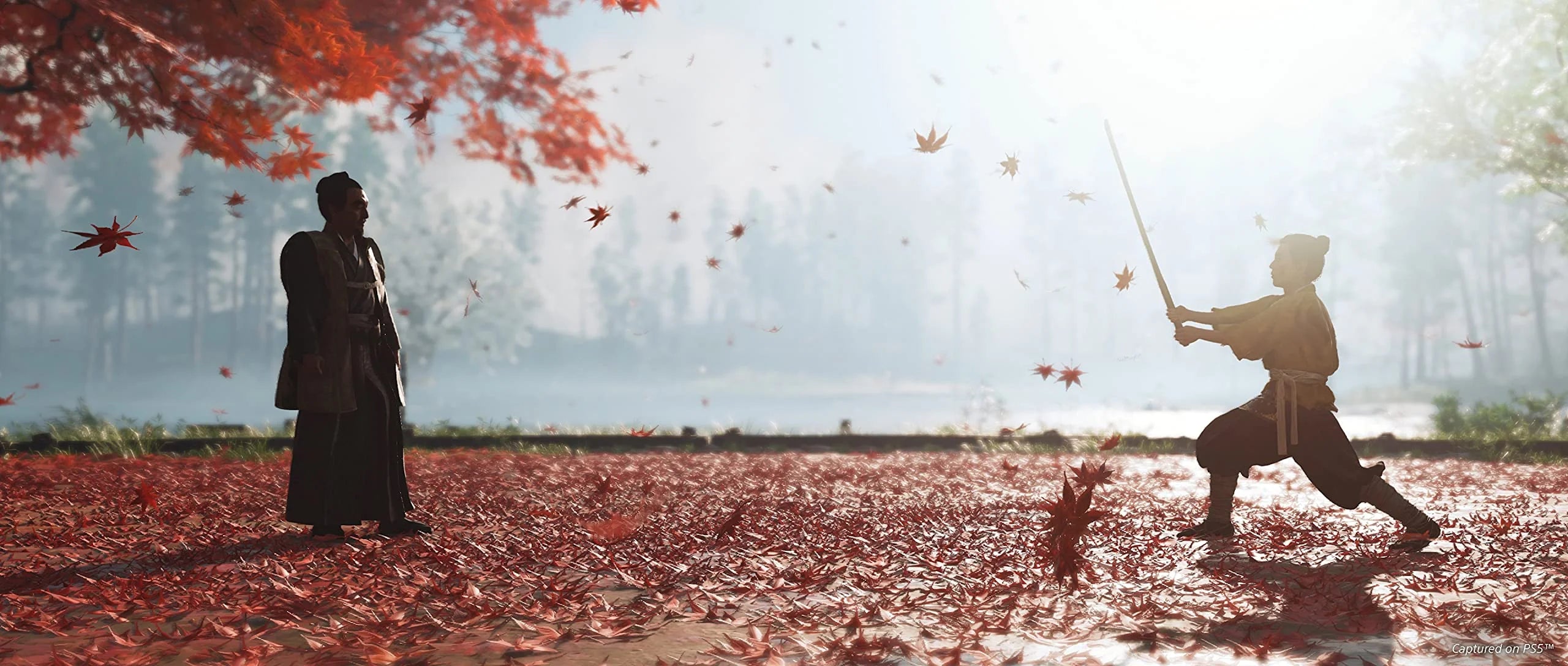 PlayStation 4 Director's Cut O635