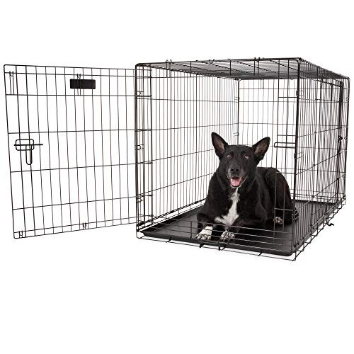 48 Inch Wire Dog Crate L362893