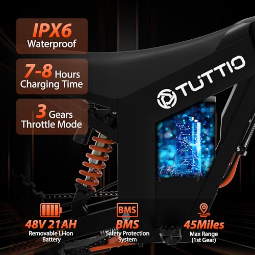 14"/12" Fat Tire 2000W Electric Dirt Bike with 48V 21AH Battery D9970