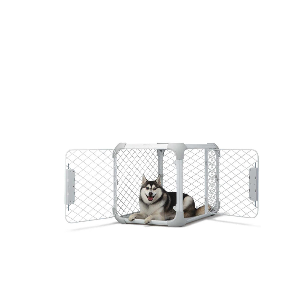Dog Crate A830