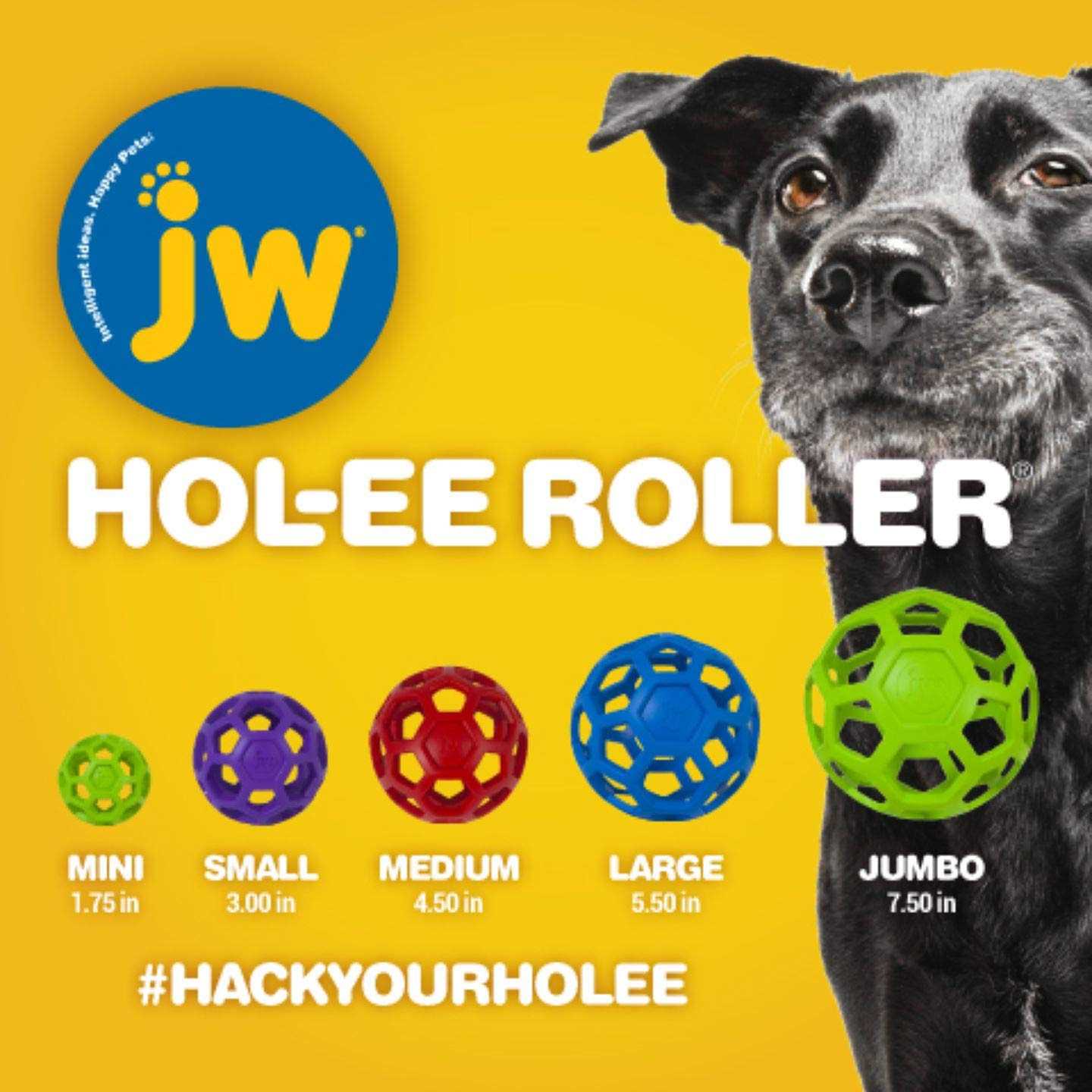 Hol-ee Roller Dog Toy Puzzle Ball Q48430