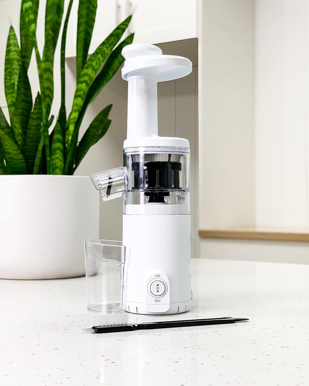 Portable Cordless Masticating Slow Juicer A622
