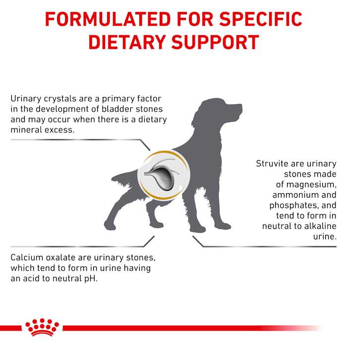 Veterinary Diet Canine Urinary SO Dry Dog Food P658507