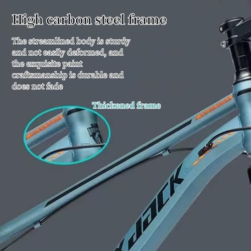 26 inch Kids Bike with Dual Disc Brakes and 24 Speeds Carbon Steel Frame L10919