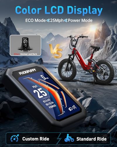 Electric Bike, Peak 1000W Motor, 48V 20Ah Battery, 20''×4.0'' Fat Tire Full Suspension, 28MPH, 80Miles Range, LCD Display, 7 Speed G971350