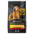 Complete Beef Adult Dry Dog Food D47988