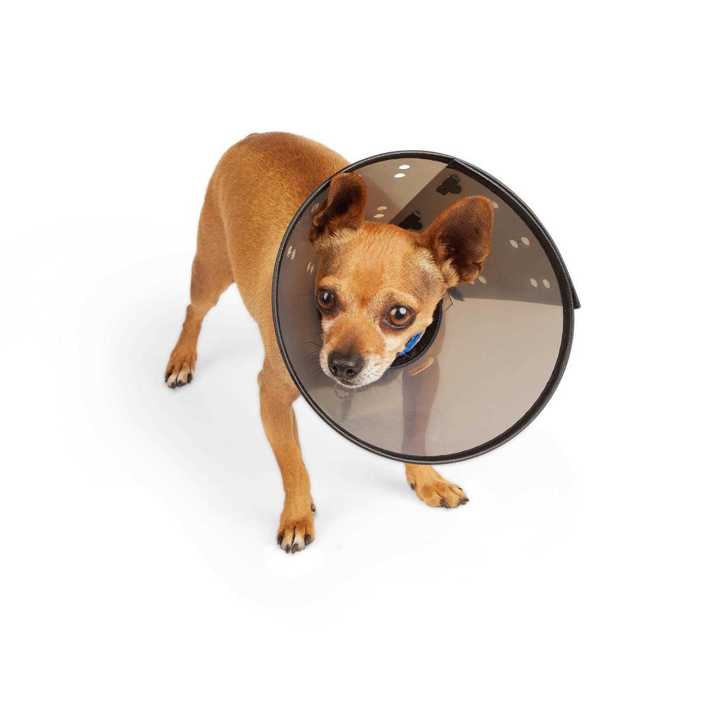Recovery Cone Collar R696043