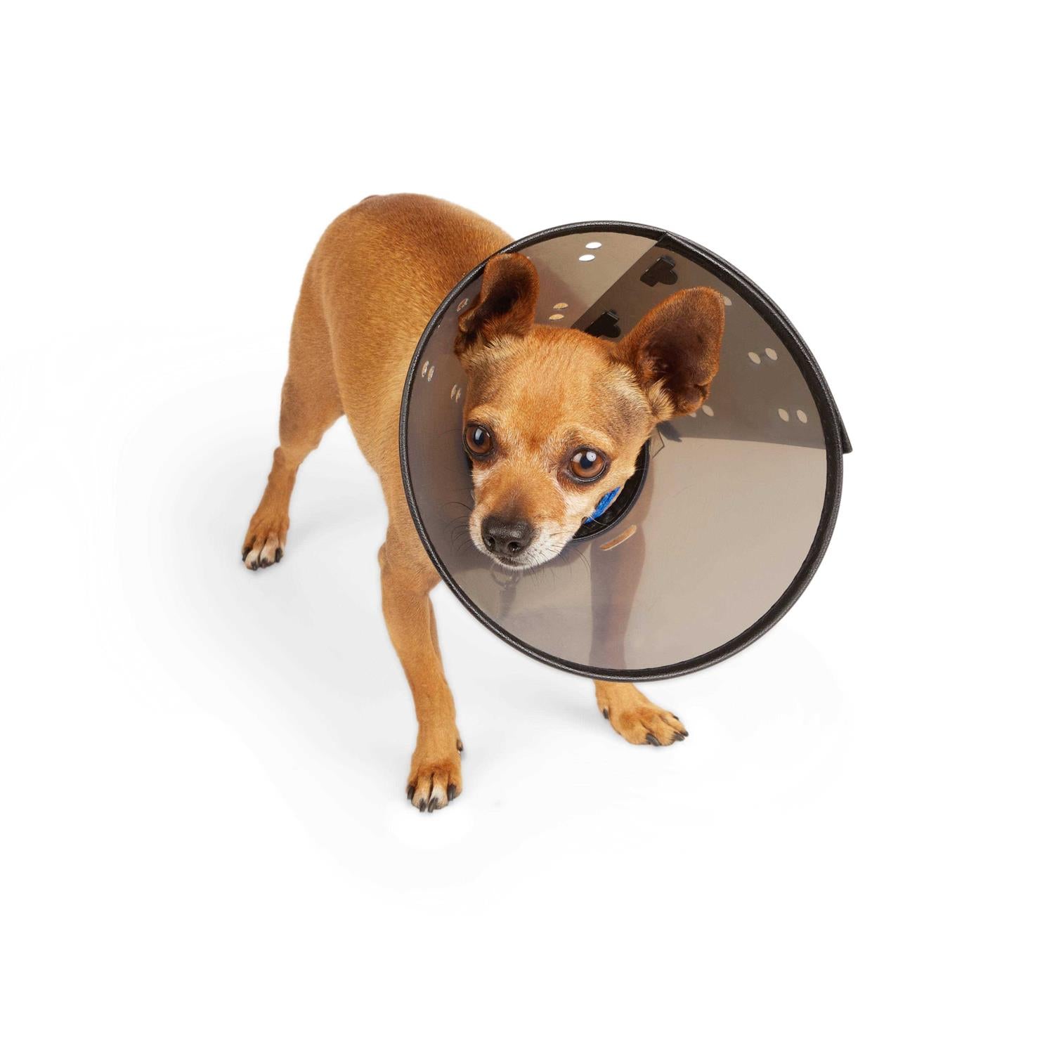 Recovery Cone Collar R696043