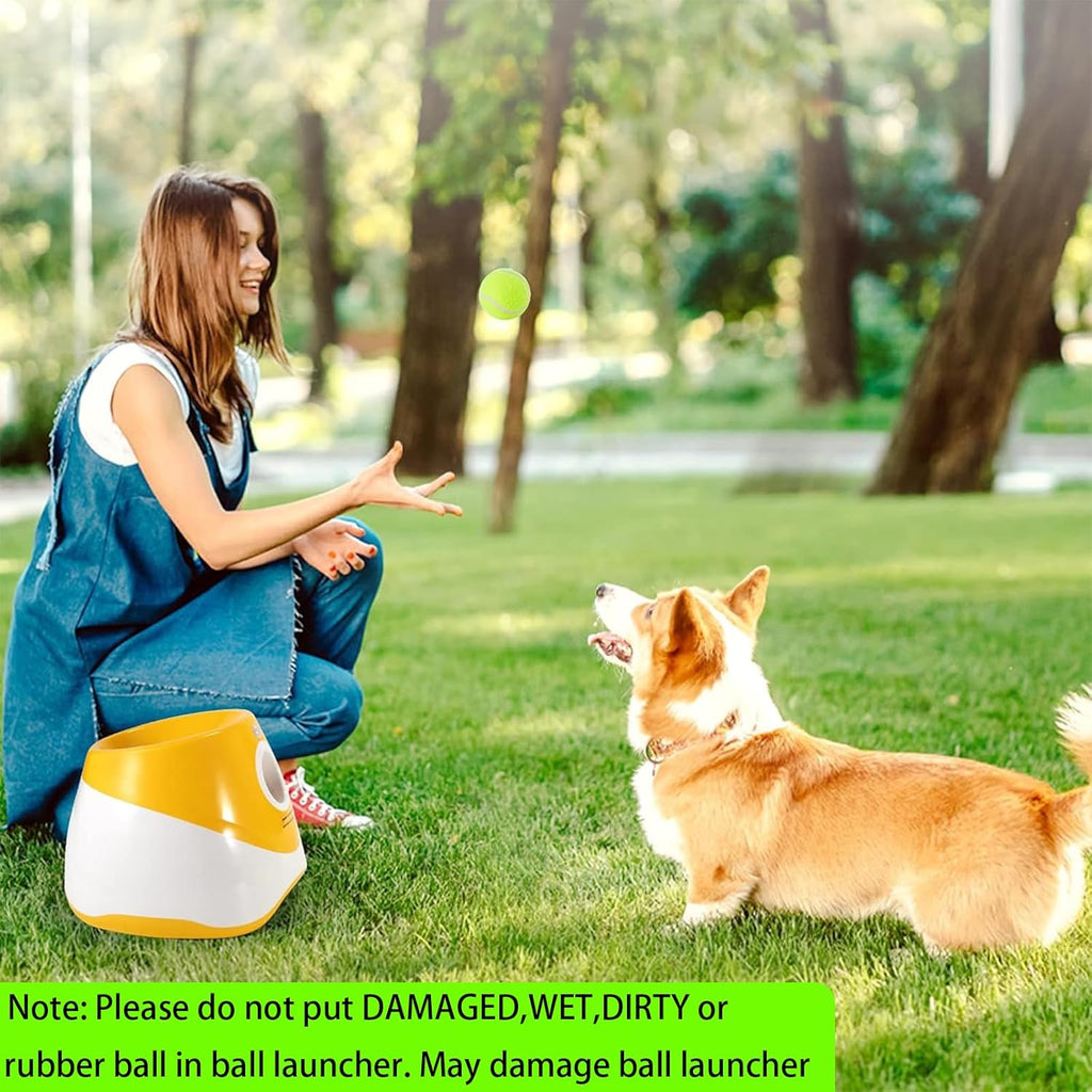 Rechargeable Automatic Dog Ball Launcher with 12 Tennis Balls F5636