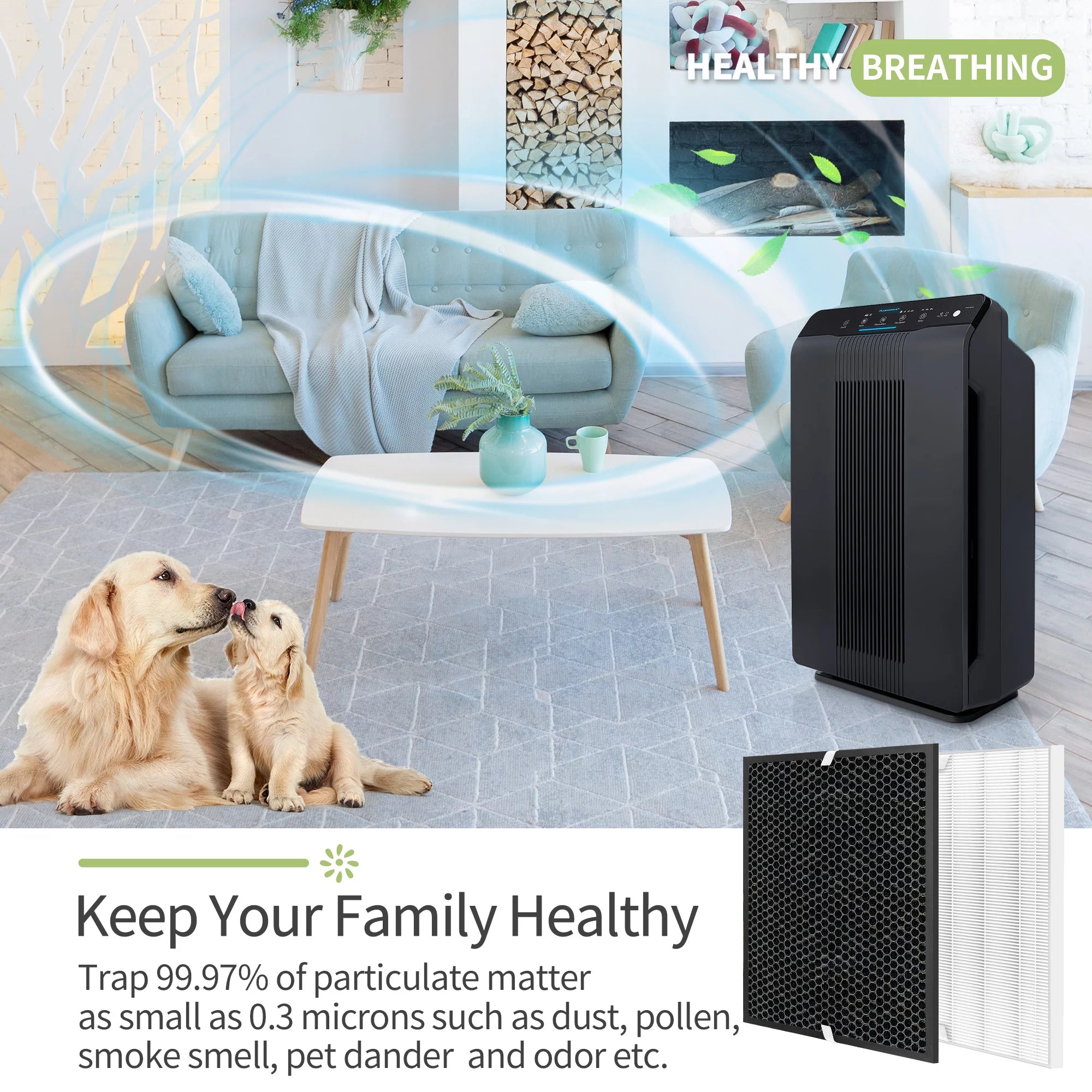 2 Sets H13 HEPA and Activated Carbon Filters R331