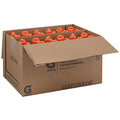 24 Oz Fruit Punch X21955