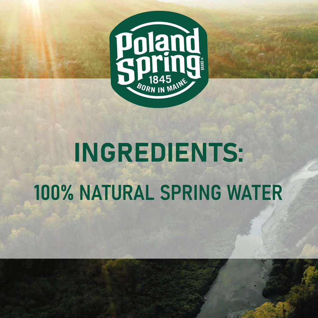 16.9 Fl Oz 40 Count Natural Spring Water I13481