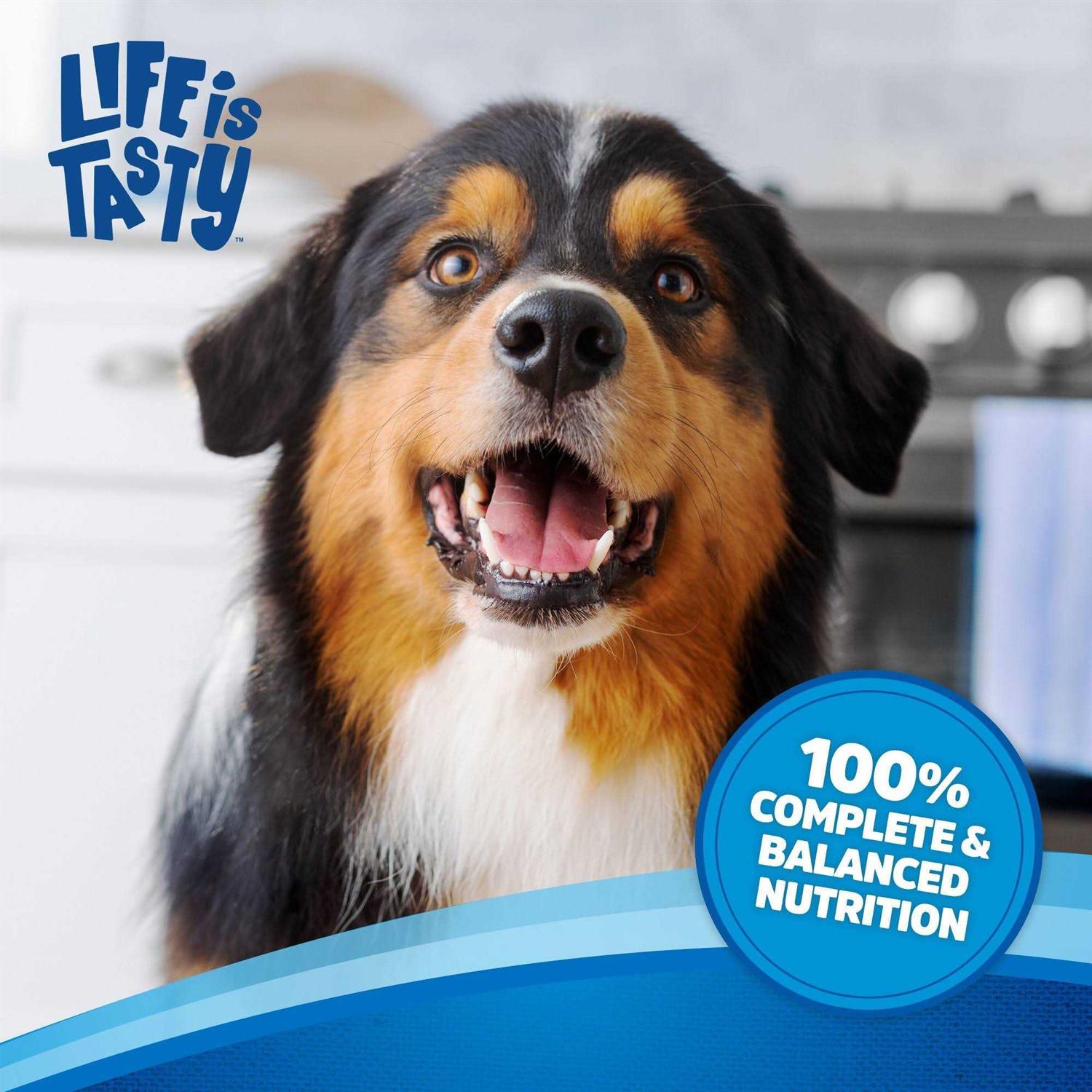 Beef Dog Food E508084