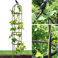 Rustproof Metal 6ft Garden Trellis for Climbing Plants J71628