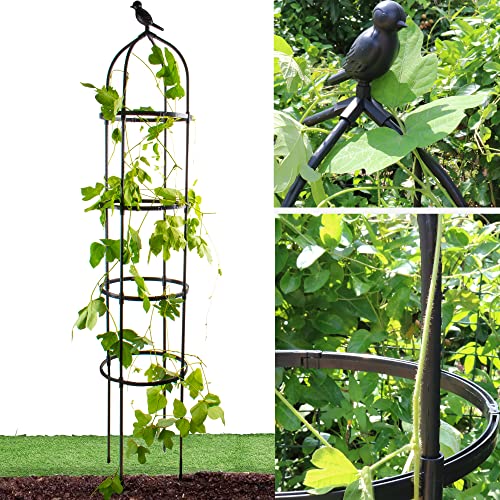 Rustproof Metal 6ft Garden Trellis for Climbing Plants J71628