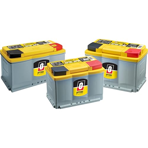 High Performance Sealed AGM Car Battery, 880 CCA, BCI Group Size 94R P6951