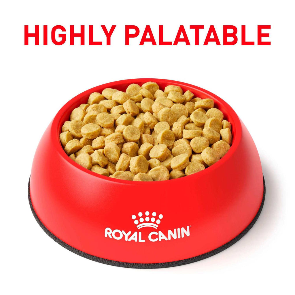 Hydrolyzed Protein Dry Dog Food D10842