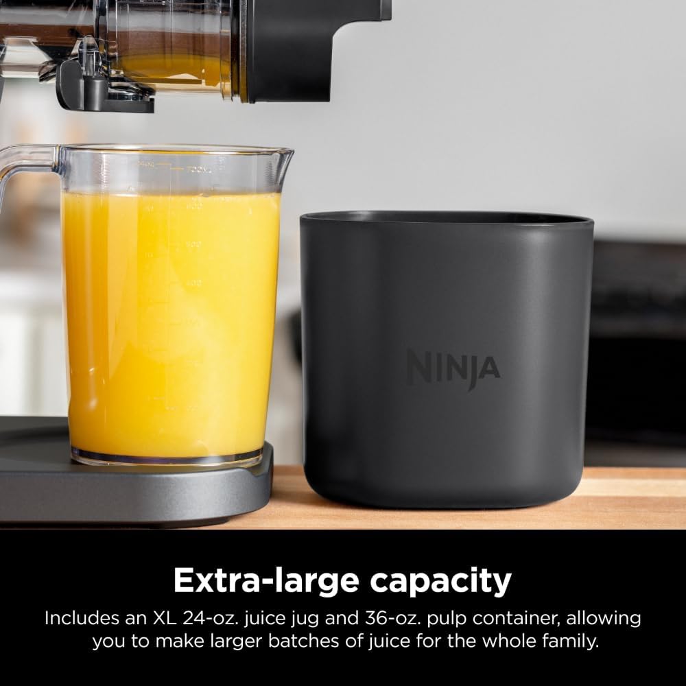 Charcoal Cold Press Juicer I541