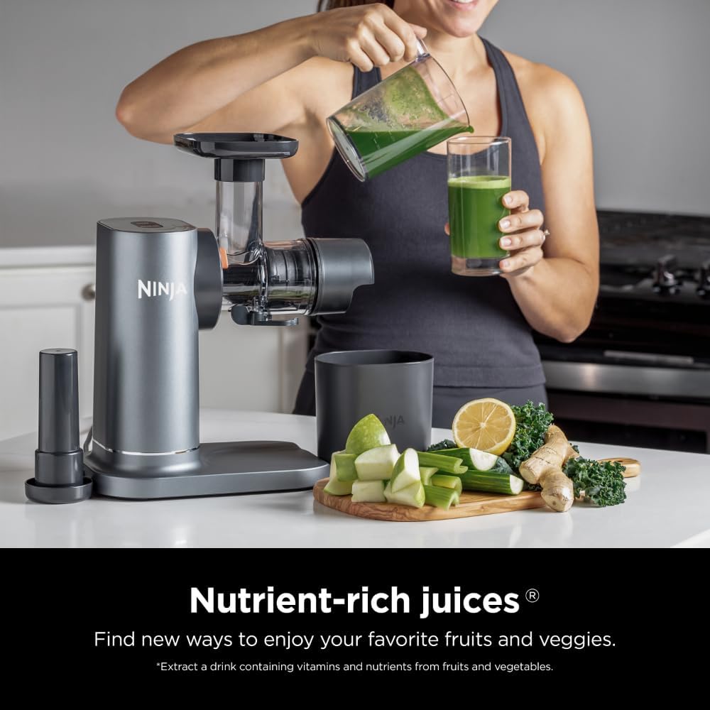 Charcoal Cold Press Juicer I541