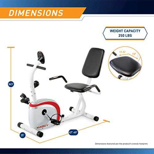 Recumbent Exercise Bike P4821